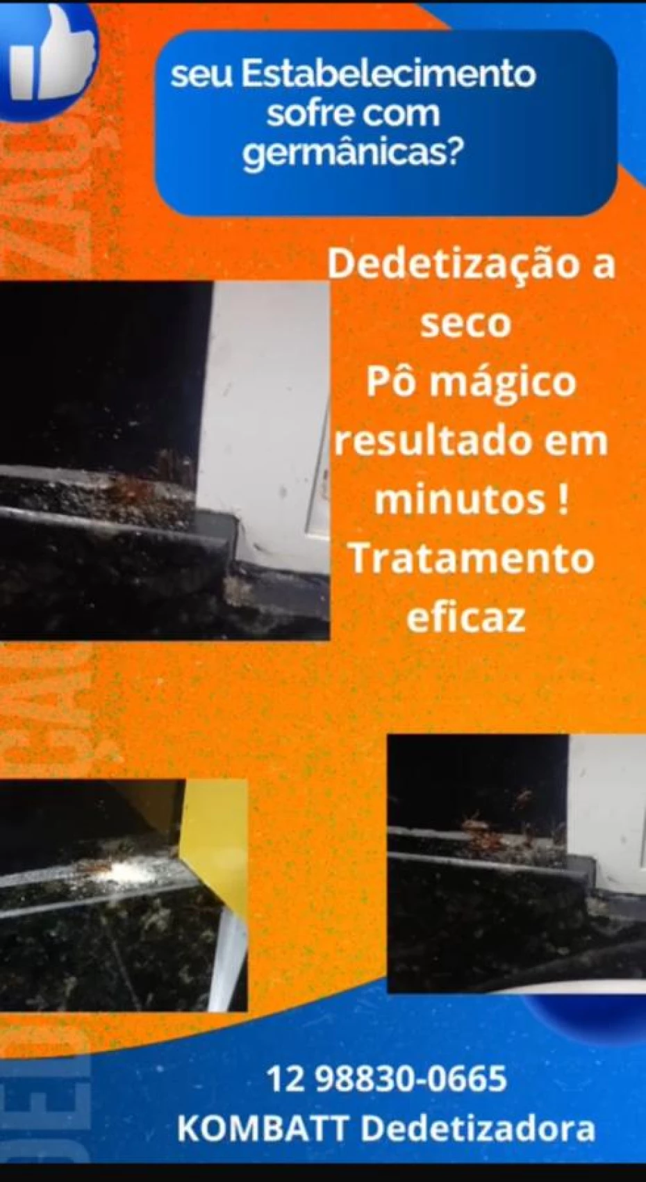 Foto 33:  — Kombat Controle de Pragas Dedetizadora