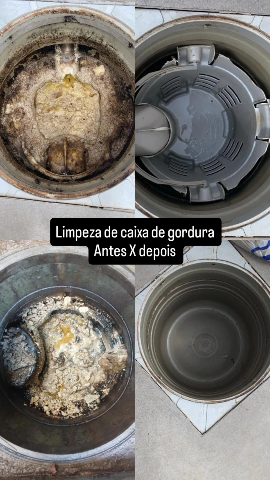 Foto 1:  — Kombat Controle de Pragas Dedetizadora